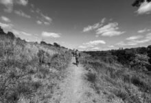 callback latency monitoring system