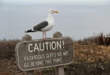 potentially harmful substance inquiry