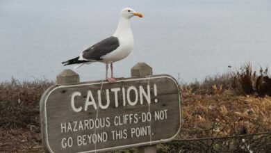 potentially harmful substance inquiry