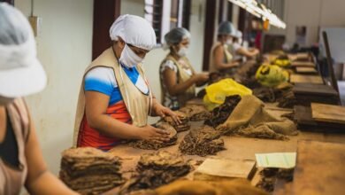 wintergreen flavored nicotine pouches