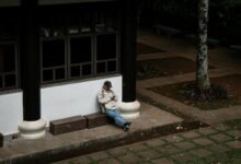 dollar tree mobile site